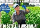 Vegetable Grower Career and Immigration options for Australia