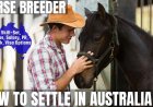 Horse Breeder Career and Immigration options for Australia