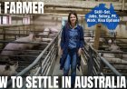 Pig Farmer Career and Immigration options for Australia