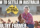 Poultry Farmer Career and Immigration options for Australia