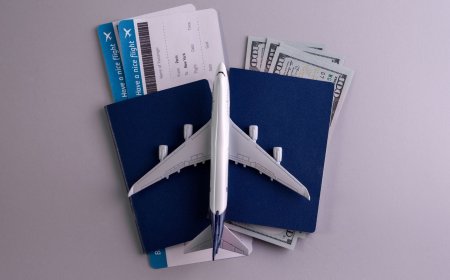 Details about Australia Immigration Pathways and Visa sub-classes