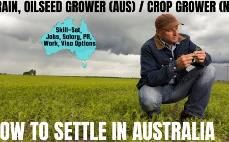 Grain & Oilseed Grower Career and Immigration options for Australia