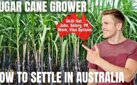 Sugar Cane Grower Career and Immigration options for Australia