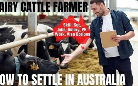 Dairy Cattle Farmer Career and Immigration options for Australia