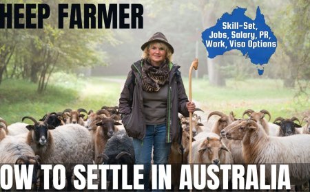 Sheep Farmer Career and Immigration options for Australia
