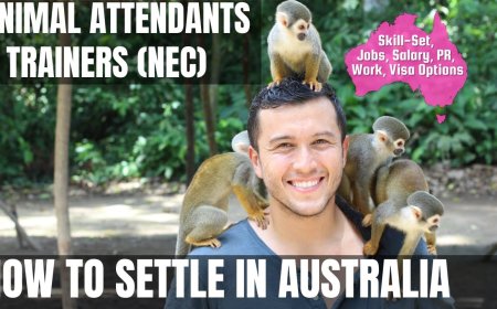 Animal Attendants & Trainers (nec) Career and Immigration options for Australia
