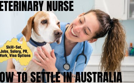 Veterinary Nurse Career and Immigration options for Australia