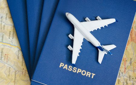 Job Ready Program Processing Times: An Update from Australia