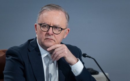 Albanese Under Fire for Australia's Immigration Policies