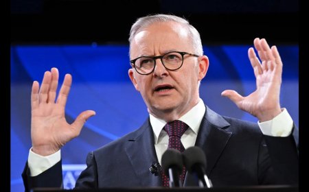 Albanese Announces New Visa Rules to Prioritize Community Safety | Australia Immigration Updates