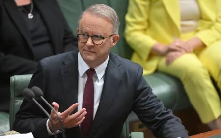 Australia Hit a New Record: Albanese Government is Pushing to Keep on Top | Australia Immigration News