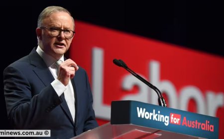 Australia’s Skilled Migration on Hold? Labor’s Silence Raises Concerns