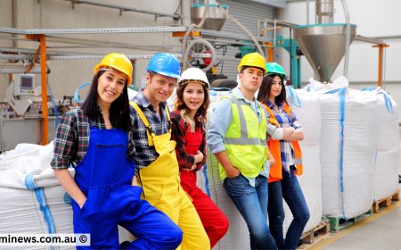 Australia’s Skilled Visa Workers: 17,500 Visa Workers Are Powering Australia's Tradie