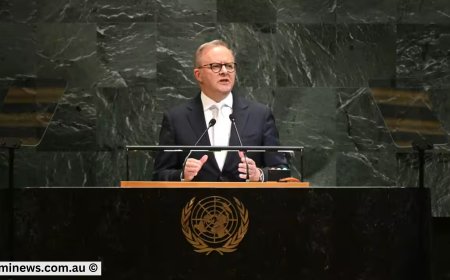 Australia’s Migration Mess: Labor’s PALM Scheme in Crisis